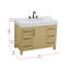 Meuble-lavabo simple 42 po_Traditional_VF60642-28198932