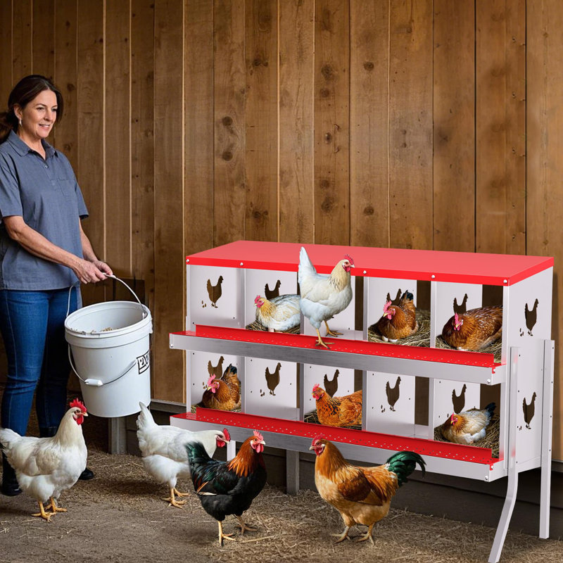 Boîte de nidification de poulet, 10 boîtes de nidification en métal pour poulailler, collection facile d'œufs, nettoyage facile, boîtes de ponte avec poules de support pour poules