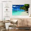 Palmiers Gillard Coastal Coconut-107671782