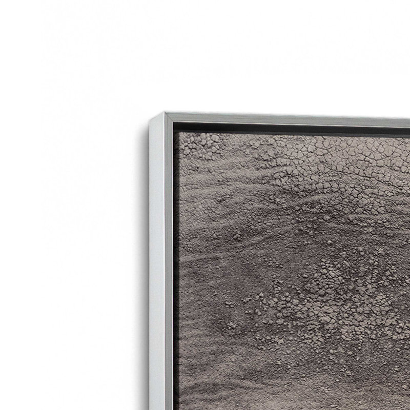 «Wise Gaze», reproduction sur toile, Cadre flottant en chrome poli, H 48,75 po x l 32,75 po x P 1,75 po