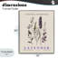 Giclée de lavande naturelle encadrée, design par Christopher Giampietro-111095816-111095818