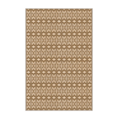 Indoor Rug