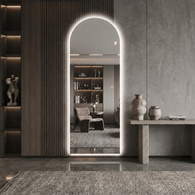 Modern LED Full Body Mirror with 3 Color Lighting Dimmable Brightness HD Shatter Resistant Wall Mounted or Leaning
