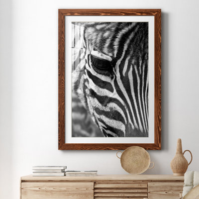 Zebra Colt - Photographie avec cadre photo