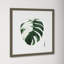 Variegated Monstera II by Grace Popp-2104103225-2104103202