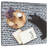 Brampt Modern Cat-109368689