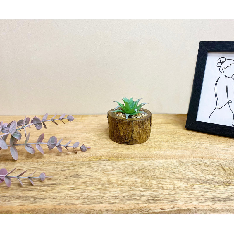 8cm Faux Succulent Plant in Cement Pot