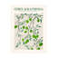 «Bolologia Rectangle 20», reproduction sur toile-95450759