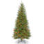 The Holiday Aisle® 6.5ft. Dunhill Fir Slim Tree with Clear Lights-105626653-105626652