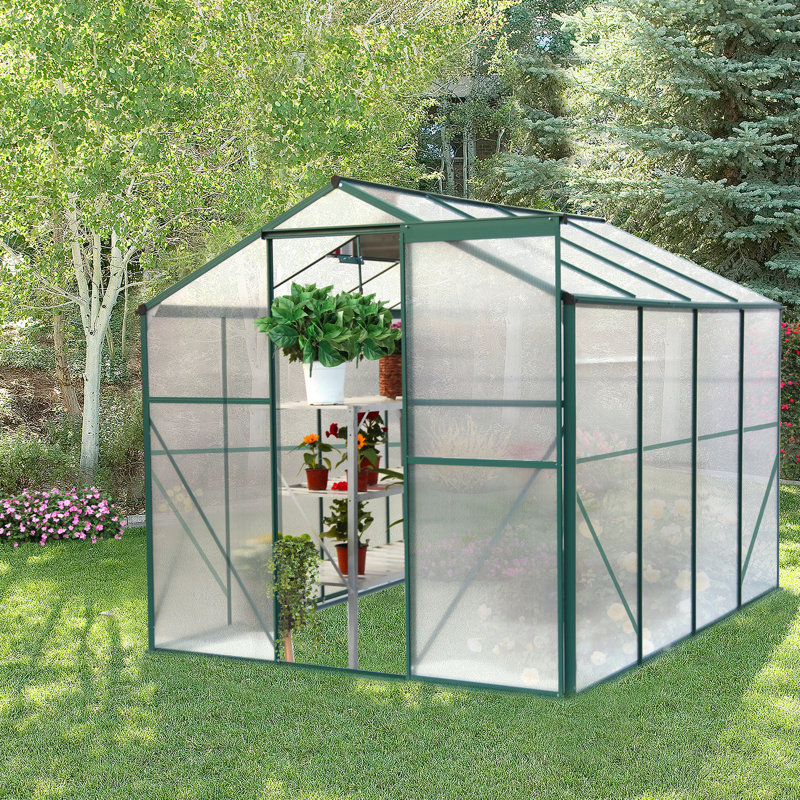 Serre de jardin arrière 6 pi x 8 pi, polycarbonate simple 4 mm, structure de jardinage stable 6 pi x 8 pi, système de drainage efficace en polycarbonate bloquant
