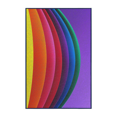 Indoor Rug