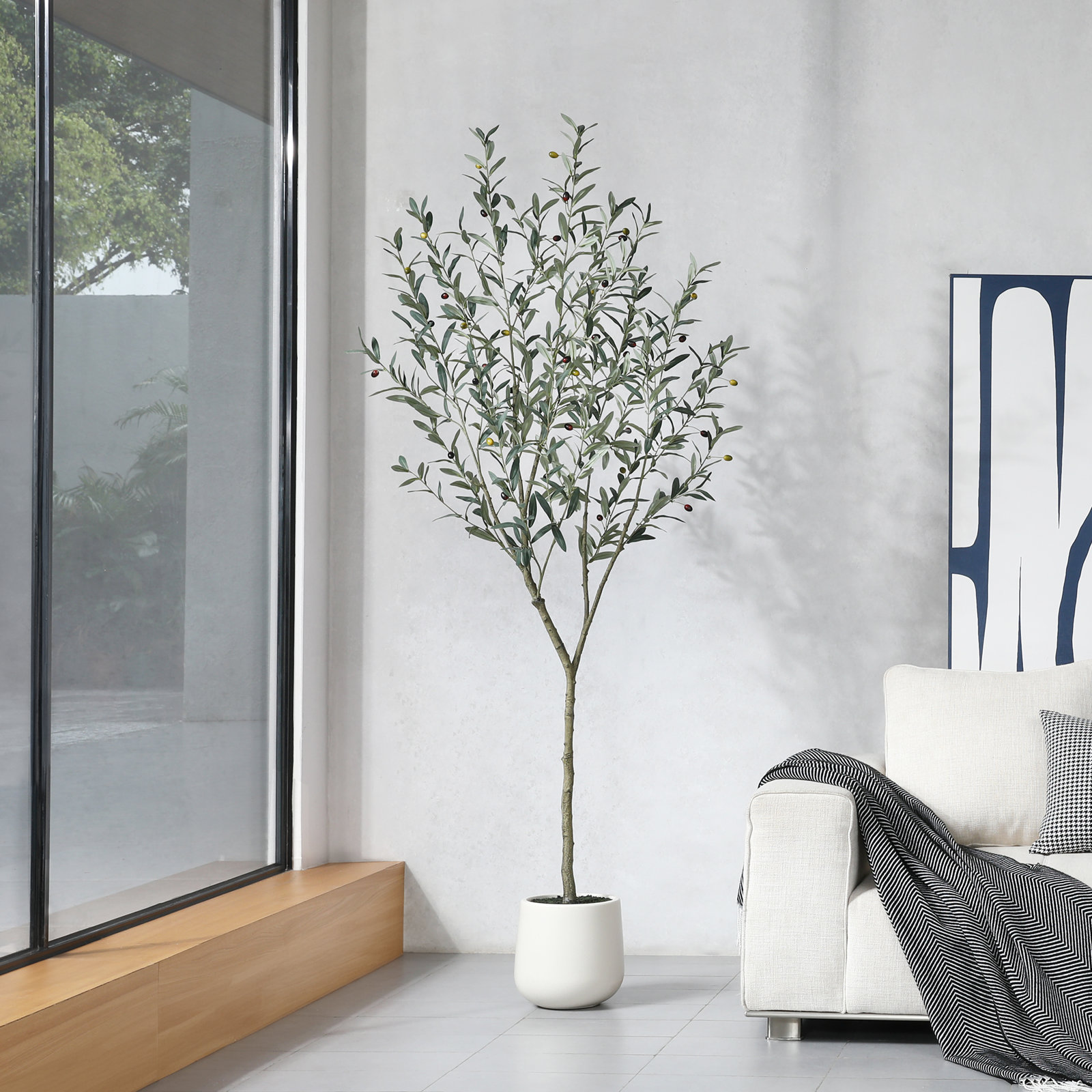 Adcock Olive Tree in Pot, 84" H x 28" W x 28" D