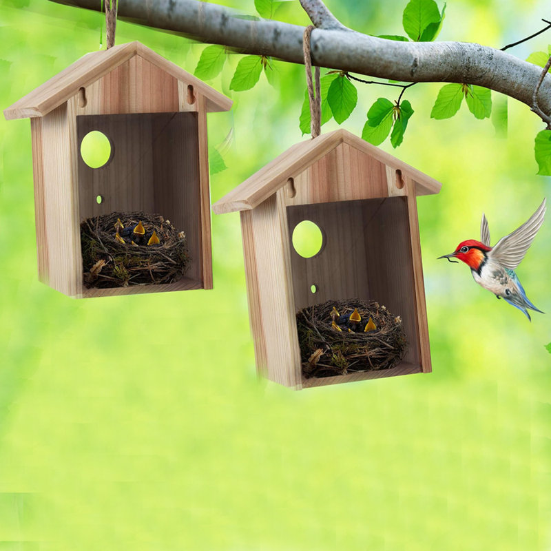 2 Pack Window Bird Houses For Outside With Suction Cups,See Through Wooden Birdhouses With Pole For Windows,Can Painting Bird Nesting Box For Bluebird Finch Chickadee,Clear Birds Feeder