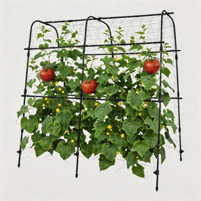 Heavy-Duty Rust-Resistant Metal Garden Arch Trellis for Raised Beds – Vertical Climbing Frame – Supports Cucumbers, Melons, Grapes, Roses & Vining Vegetables – Easy Assembly – 5.3FT