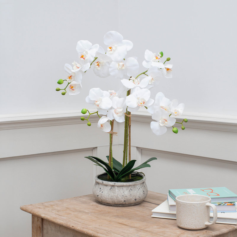 Arrangement