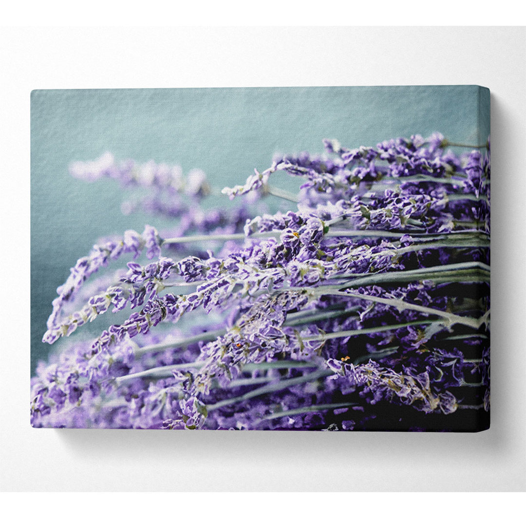 Heather Canvas Aquarell