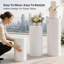 Supports cylindriques pour la décoration de table de fête (lot de 3), supports ronds réutilisables, colonnes décoratives pour table de desserts, fête de naissance, anniversaires et mariages.