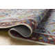 Canopy Red / Blue Area Rug