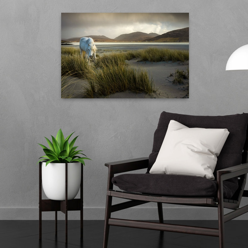 White Horse On Dunes Dramatic Peaceful Serene Horse Coastal Wall Art Print 1 Piece Wrapped Canvas Wall Art