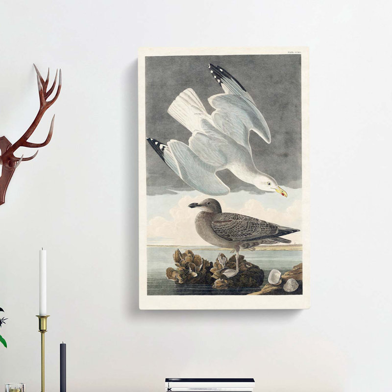Herring Gulls by John Audubon - Wrapped Canvas Painting, 76cm H x 50cm W x 3cm D