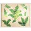 Fern Print by Paule Marrot-935801725-935801722