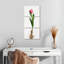 Ampoule de jardin tulipe-260091580