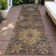 Machine Washable Indoor/Outdoor Jacinto ACN2151 Medallions Rug