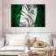 Vignette du drapeau nigérian-77842864
