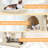 Brympton 23.5'' H Cat Tree-688632307