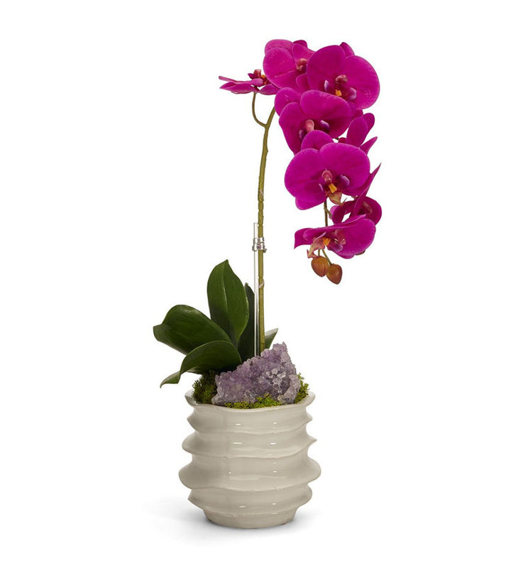 Orchid in Container with Amethyst
