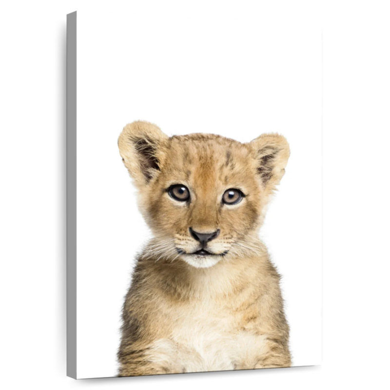 Brampt Adorable Baby Lion, 12" H x 8" W