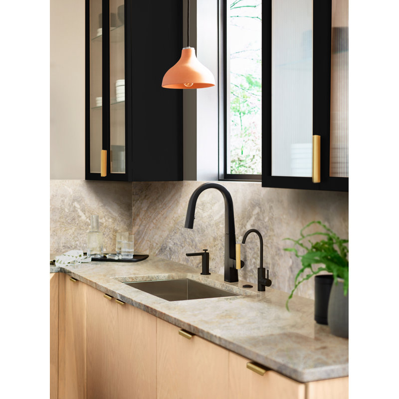 Nio Pull Down Single Handle Kitchen Faucet With Accessories, Black Stainless