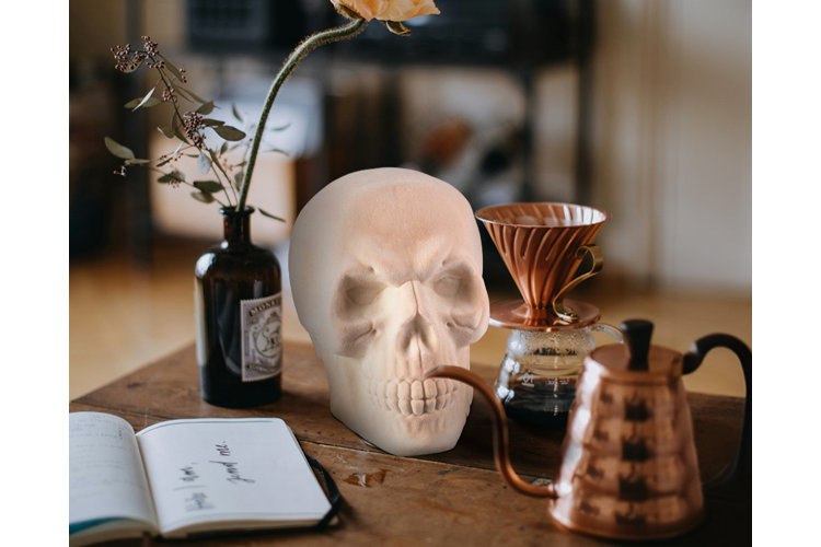Wood table with a white skull decoration, an open diary, and a bottle with a flower in it, all next to a copper coffee pot