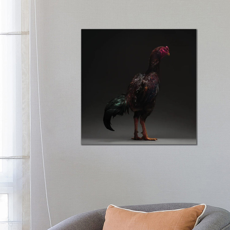 Ko Shamo - Wrapped Canvas Print, 66.04 cm H x 66.04 cm W x 1.91 cm D