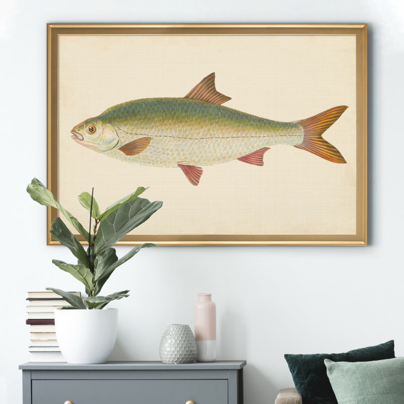 " Donovan Antique Fish II ", 22.5" H x 30.5" W x 1.5" D, Gold