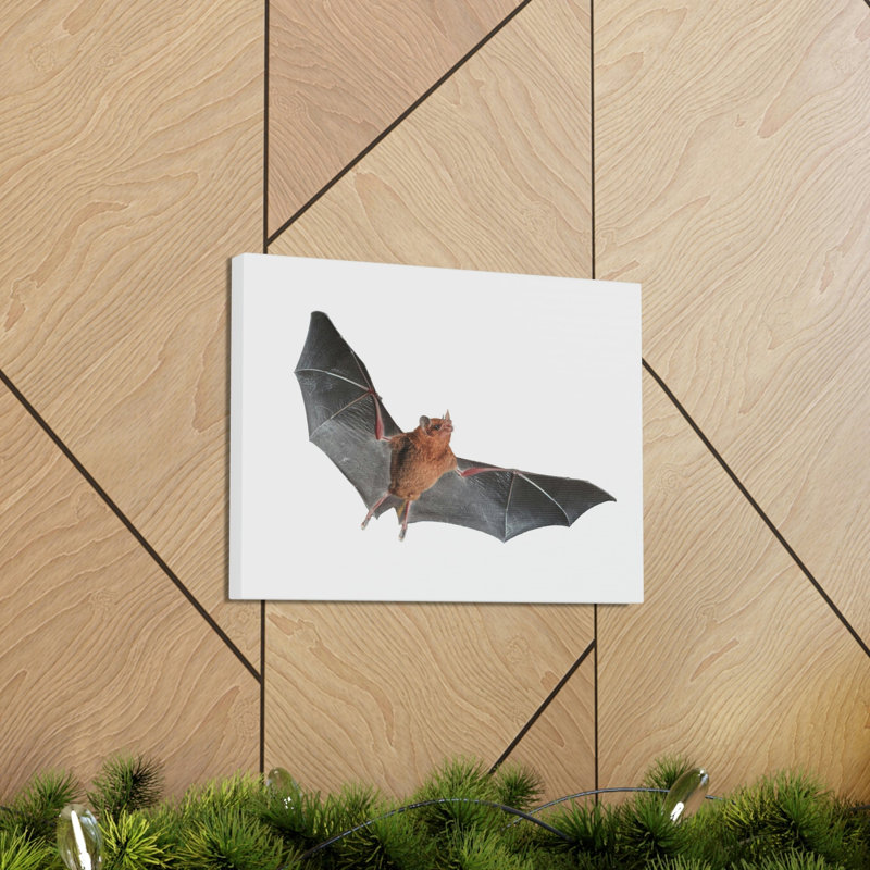 Wall Art on Canvas, 27.94cm H x 35.56cm W