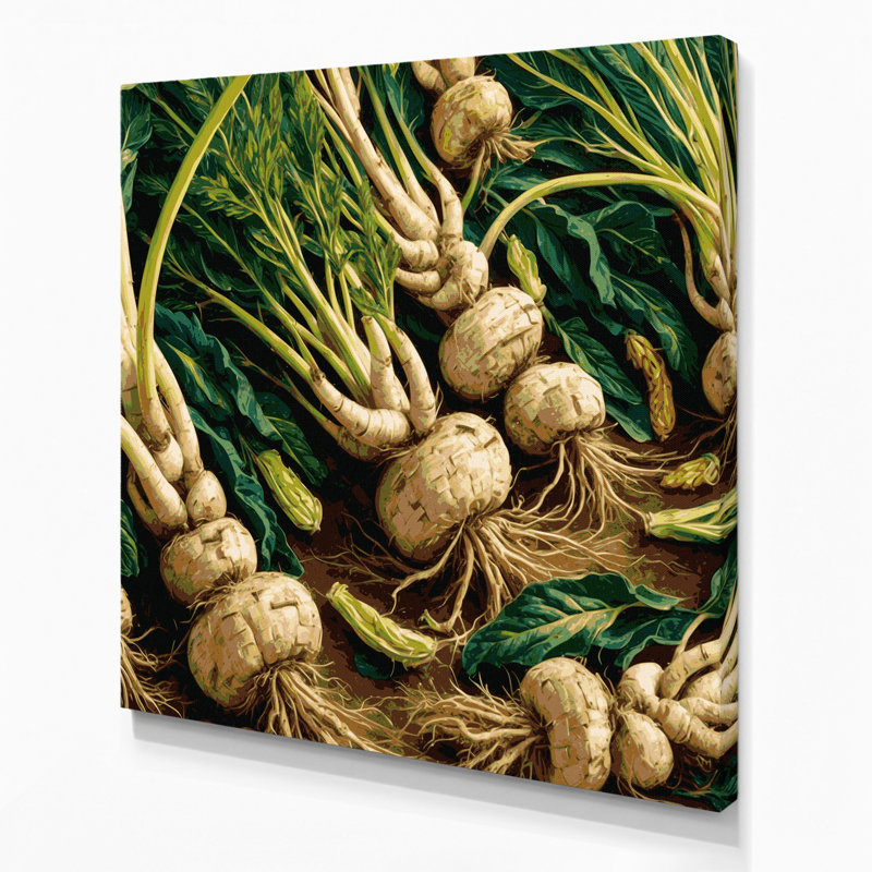 Légumes, art mural sur toile vert Arracacha, H 16 po x l 16 po
