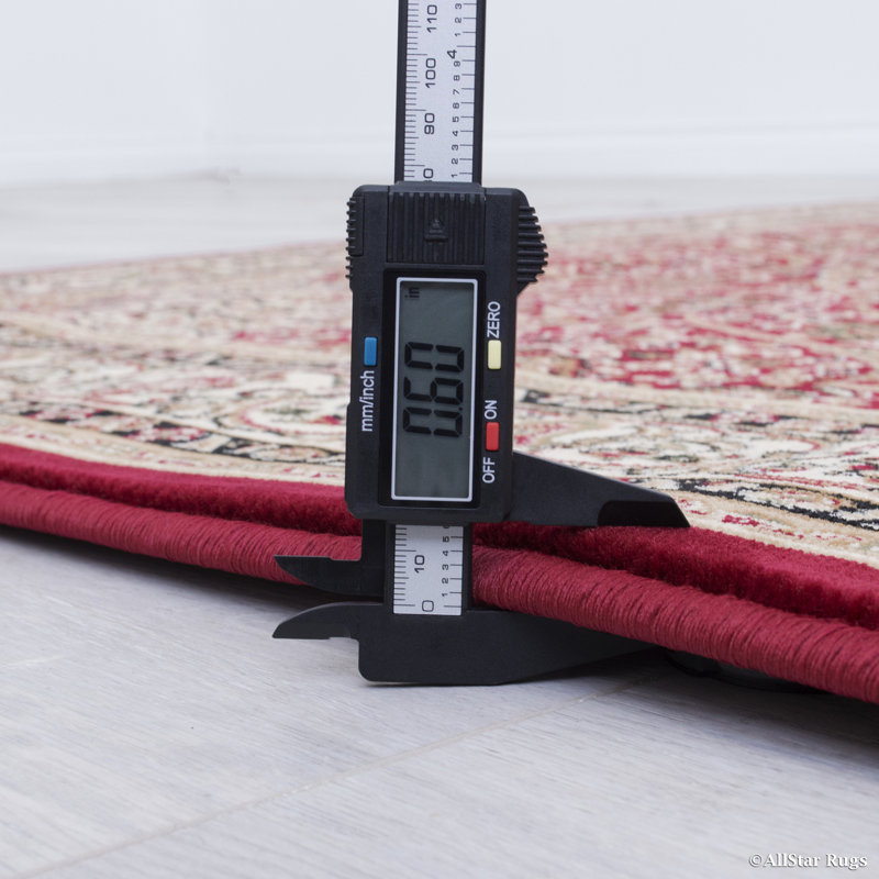 Performance Oriental Indoor Rug, 5'3" x 7'5"