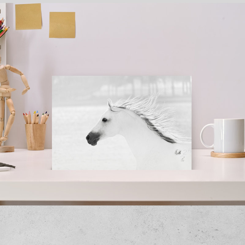 Print, 30.48cm H x 45.72cm W