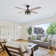 Cassio 52" 4-Blade Ceiling Fan with Remote and Light Kit Included