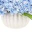 Hydrangeas Arranged in Decorative Ceramic Pot-1613632124