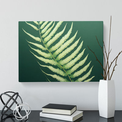 Eccentric Fern Leaf - Wrapped Canvas Print