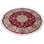 Kassadi Oriental Area Rug in Red