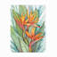 Toile d'extérieur «Tropical Botanical Paradise II» par Tim O'Toole-87946126