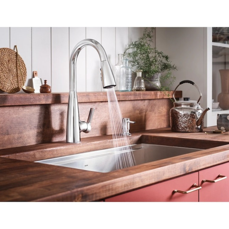 Haelyn Single-Handle Pull-Down Sprayer Kitchen Faucet with Reflex and Power Clean