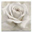 «Dreamy I», peinture sur toile tendue-1597017461