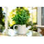 Ensemble de 2 pots artificiels en pot 3,87 "