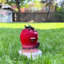 Maison de fée solaire en polyrésine rouge - cadeau de jardin parfait