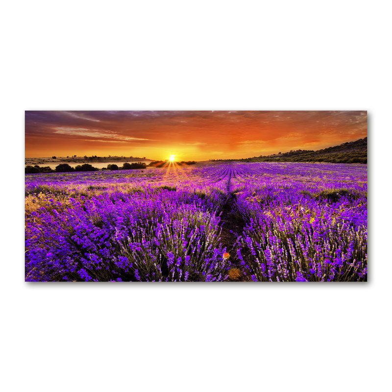 Lavender Field - No Frame Print on Canvas