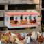 Boîte à nid en métal pour poules